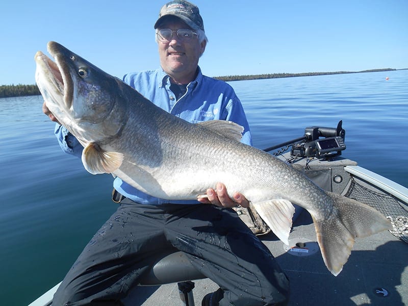 Huge Trout 2small