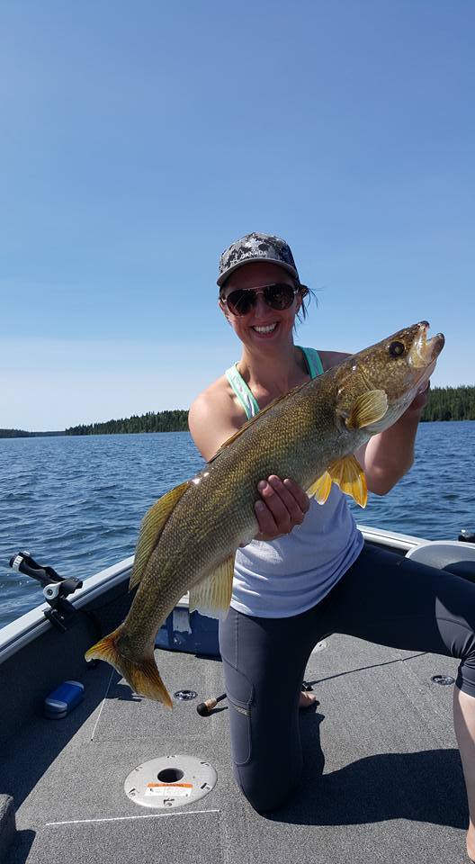 Laura walleye