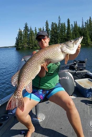 PIKE photo 1