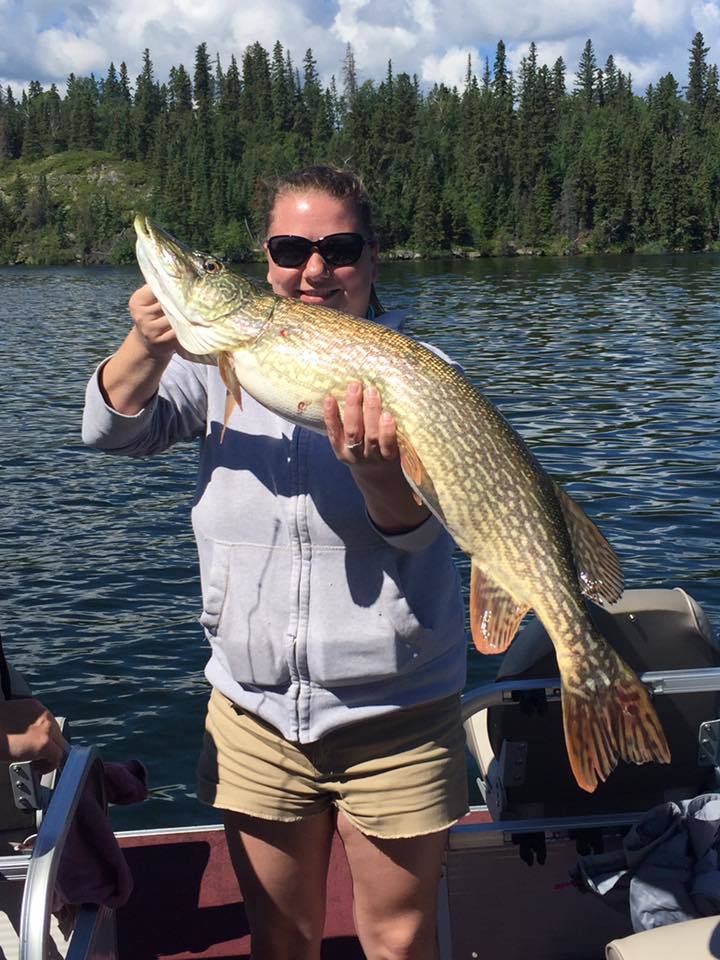 Pike 4