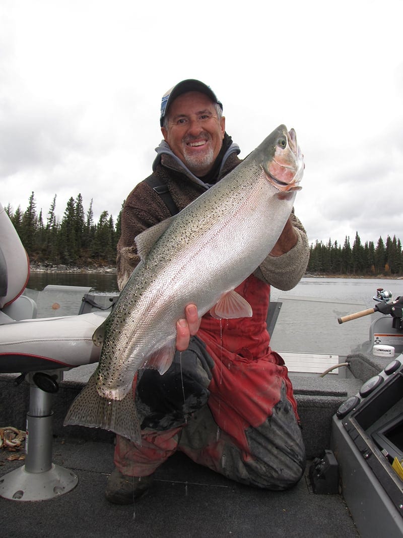 rainbow_trout1