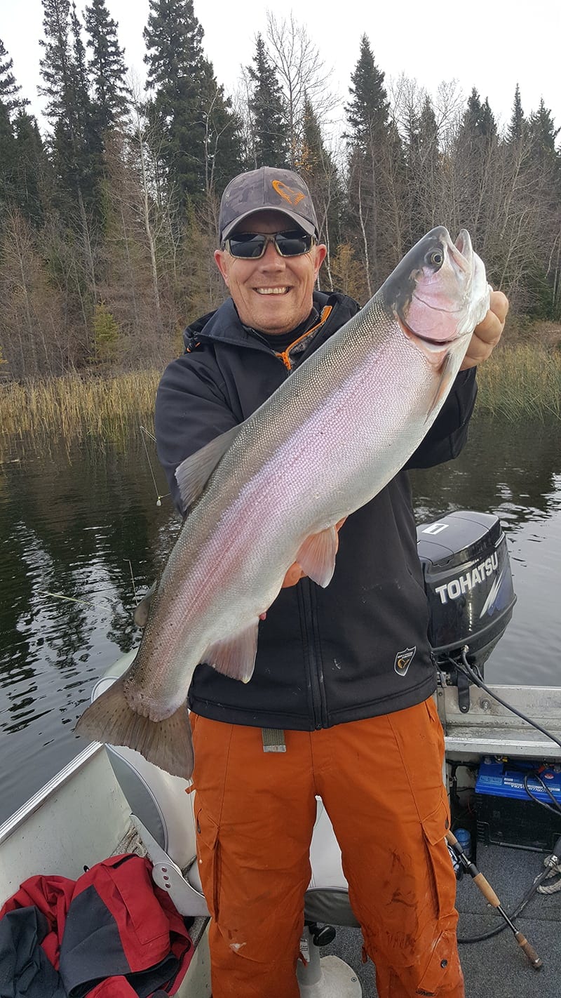 rainbow_trout5