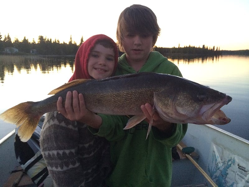 walleye1