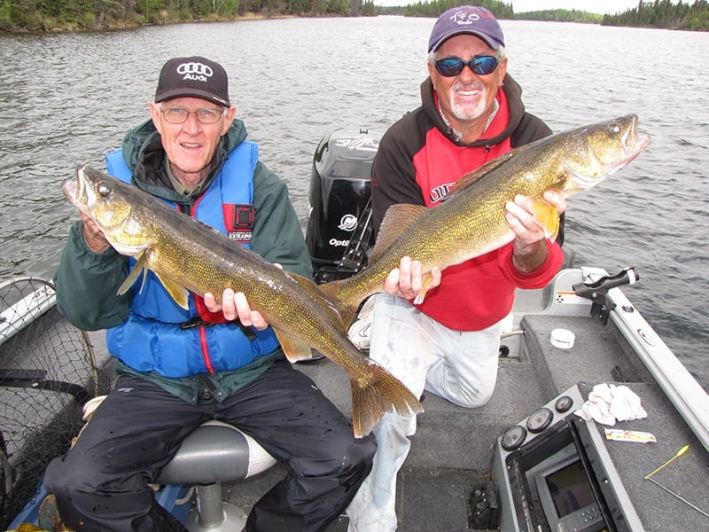 walleye10