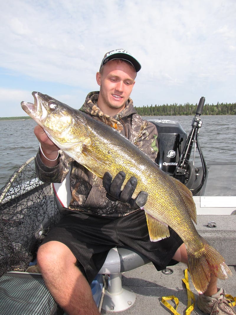 walleye12