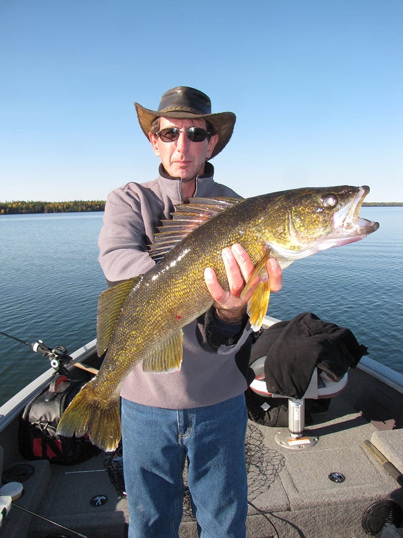 walleye18