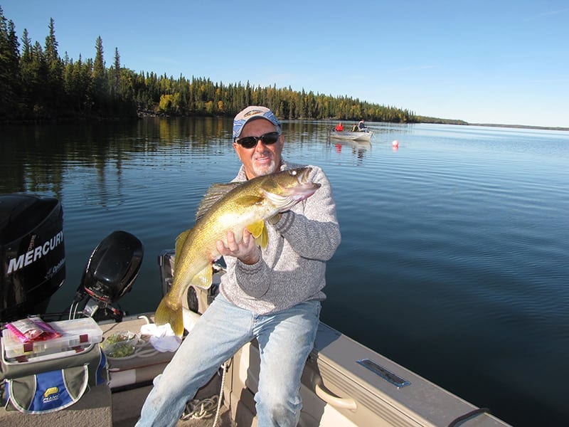 walleye19