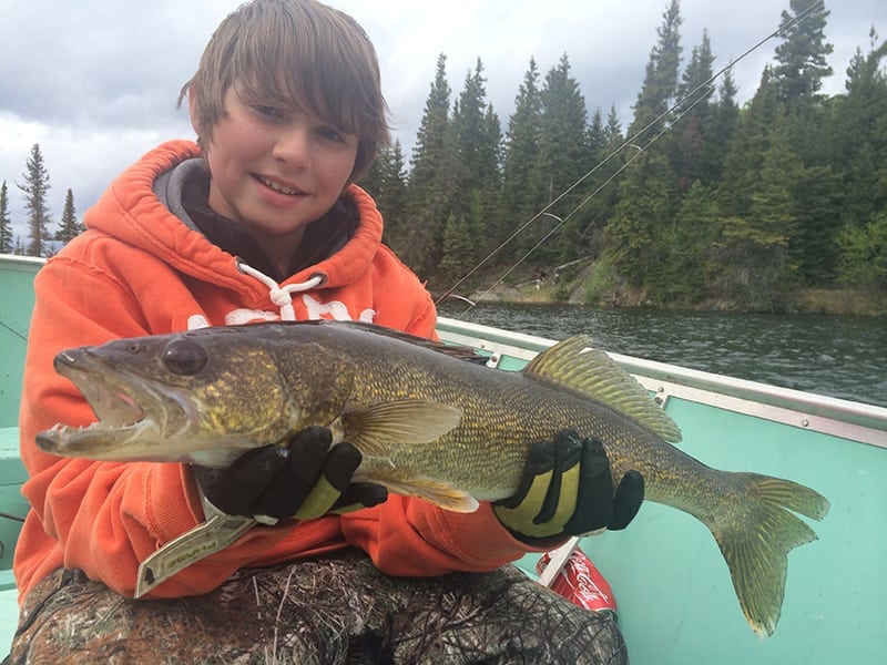 walleye2