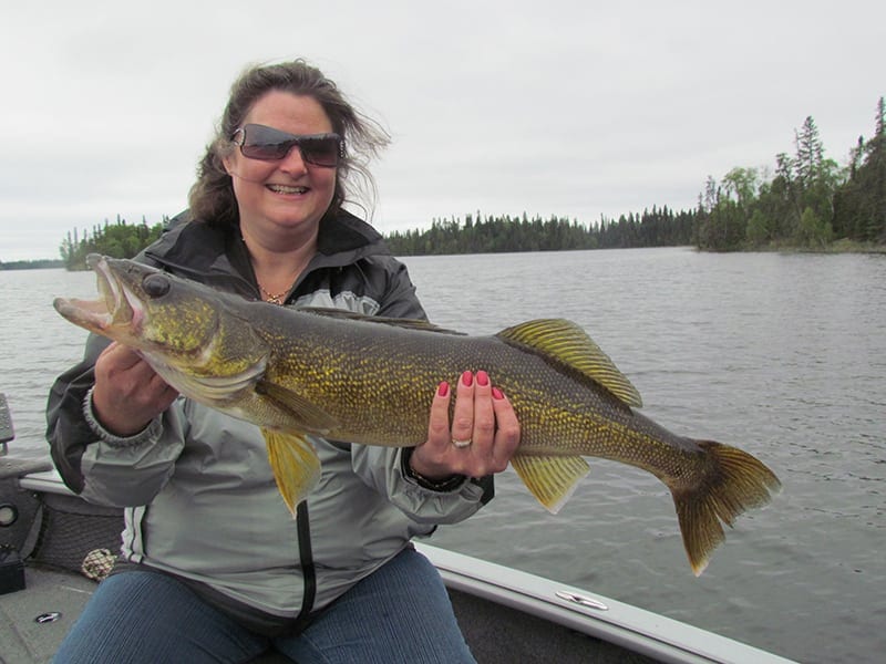 walleye23
