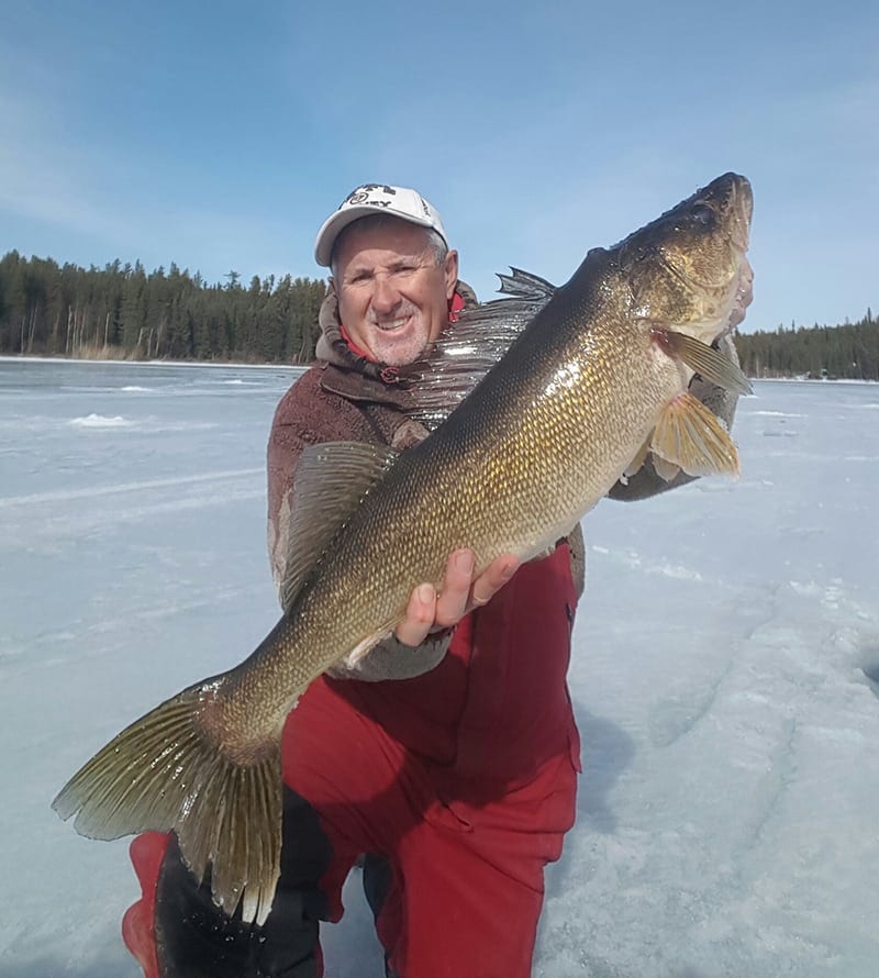 walleye25
