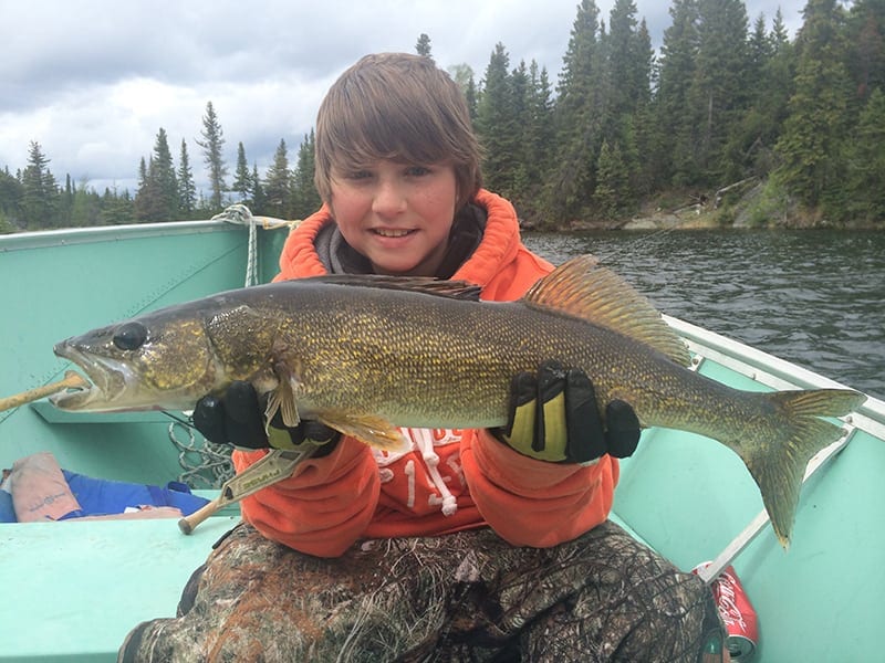 walleye3