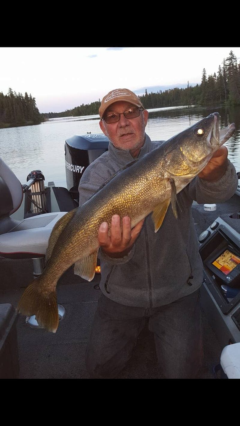 walleye5