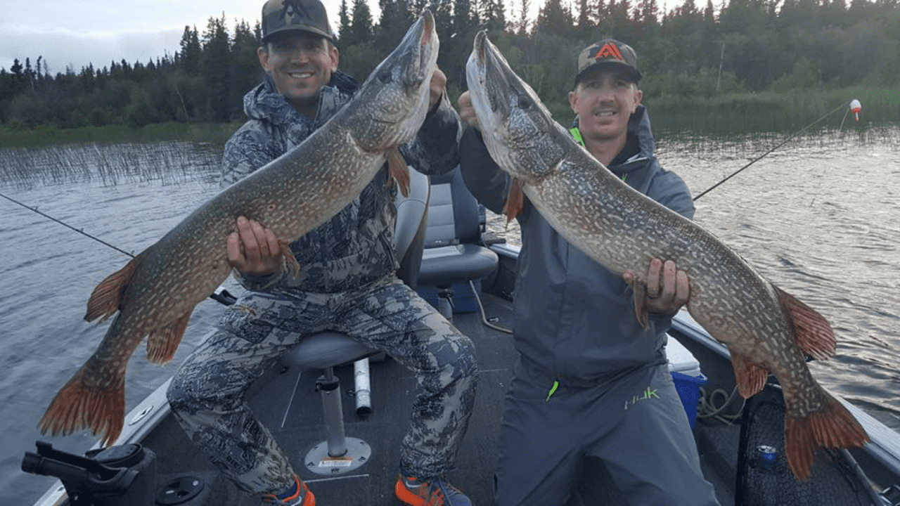 Manitoba Fishing Lodges Northern Pike Baker's Narrow