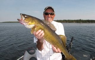 A seasoned anglers shows off his catch with a smile on his face while walleye fishing in Manitoba.