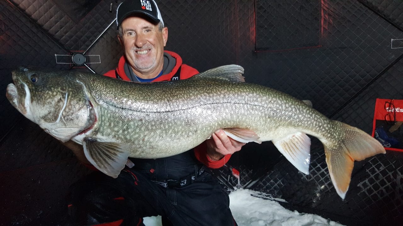 A dedicated ice fisherman hoists up a massive lake trout from Lake Athapapuskow outside of Flin Flon, Manitoba.