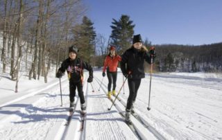 A trio of cross-country skiers makes their way through Northern Manitoba near Lake Athapapuskow.