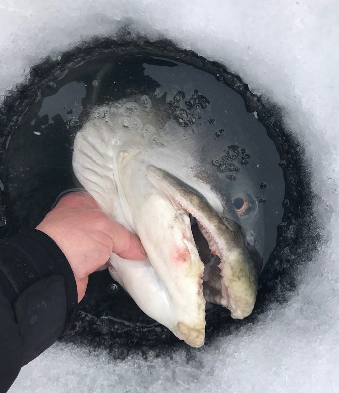 Ice Fishing in Manitoba - Ice Fishing Getaways