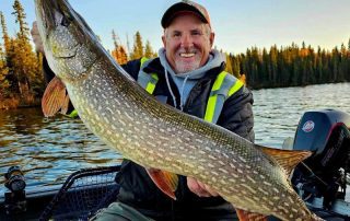 Manitoba Master Angler: A seasoned fisherman holds a massive northern pike on Lake Athapapuskow near Flin Flon, Manitoba.